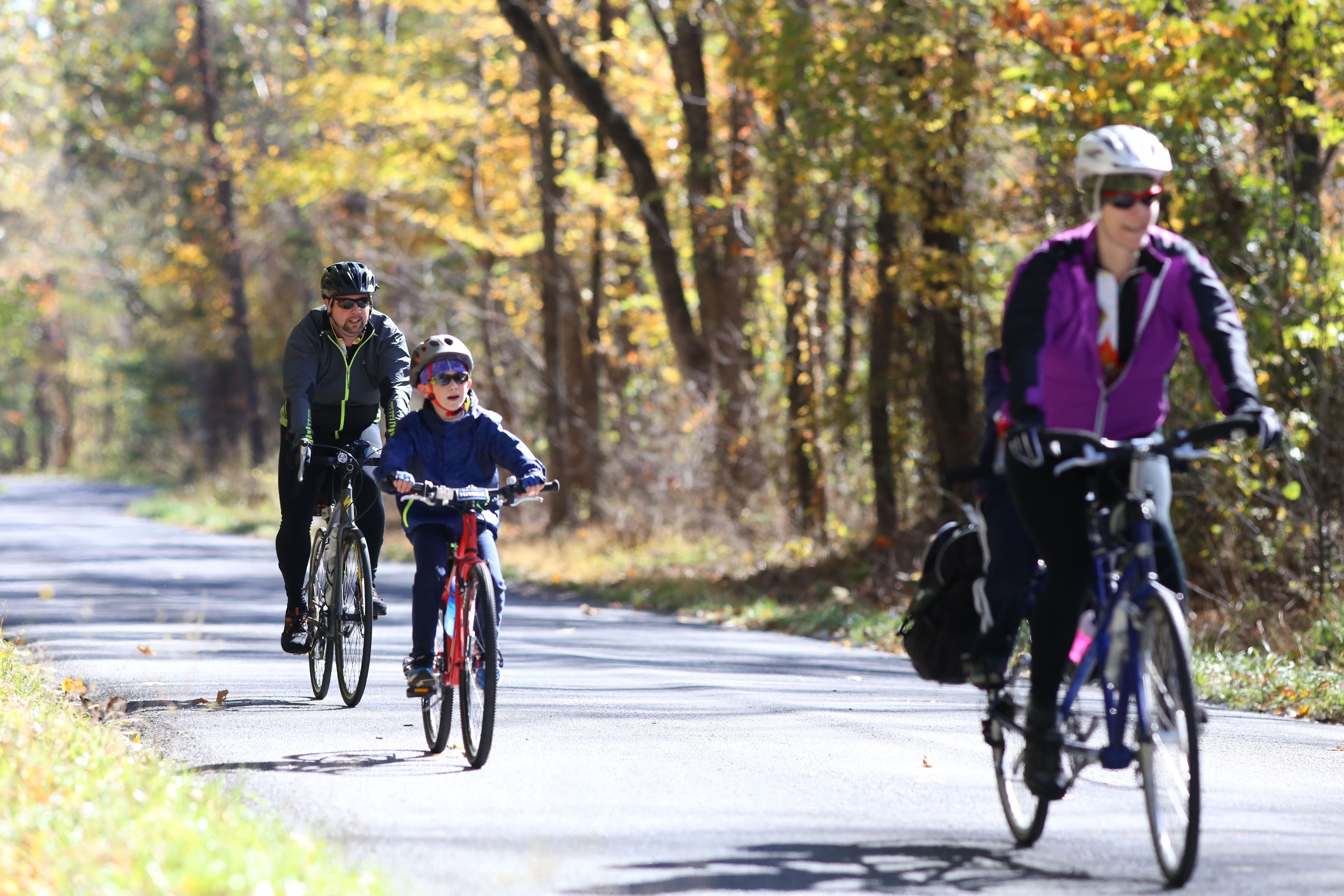 Shenandoah Fall Foliage