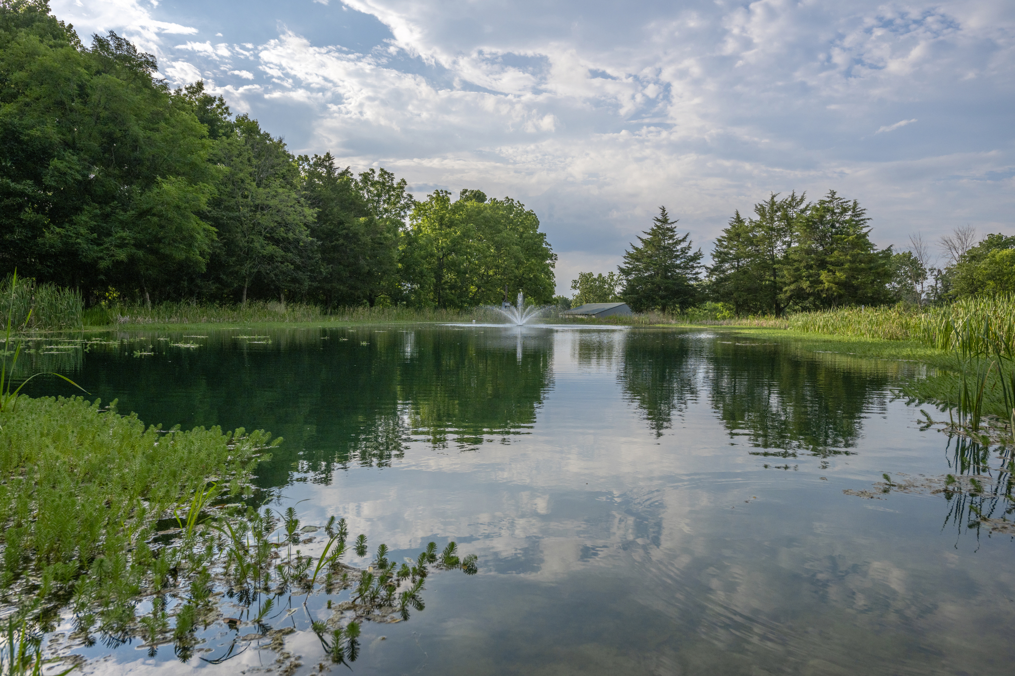 A fountain in a pond