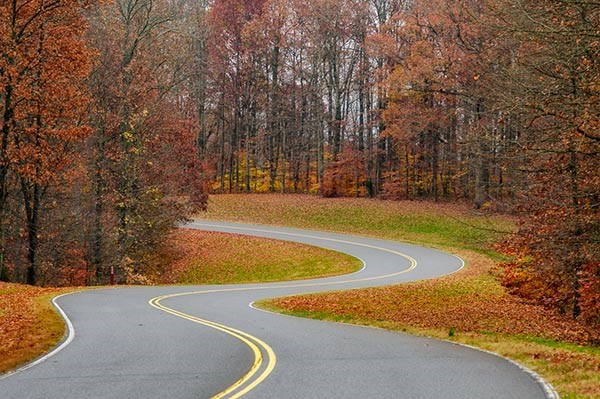 A road in fall