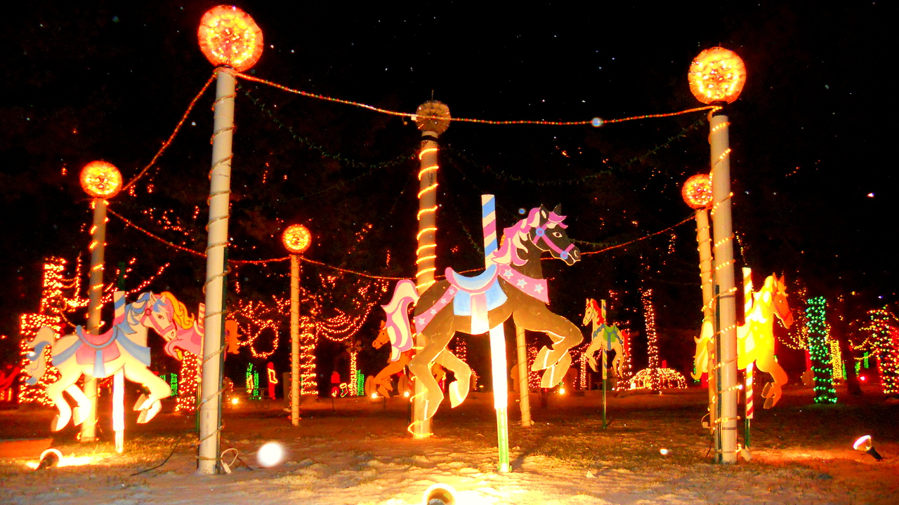 Caledonia Christmas Carnival of lights horses