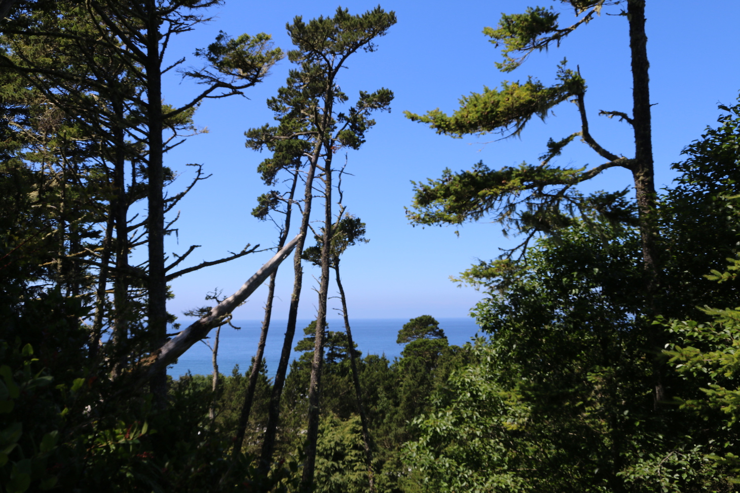 Pacific City Thousand Trails