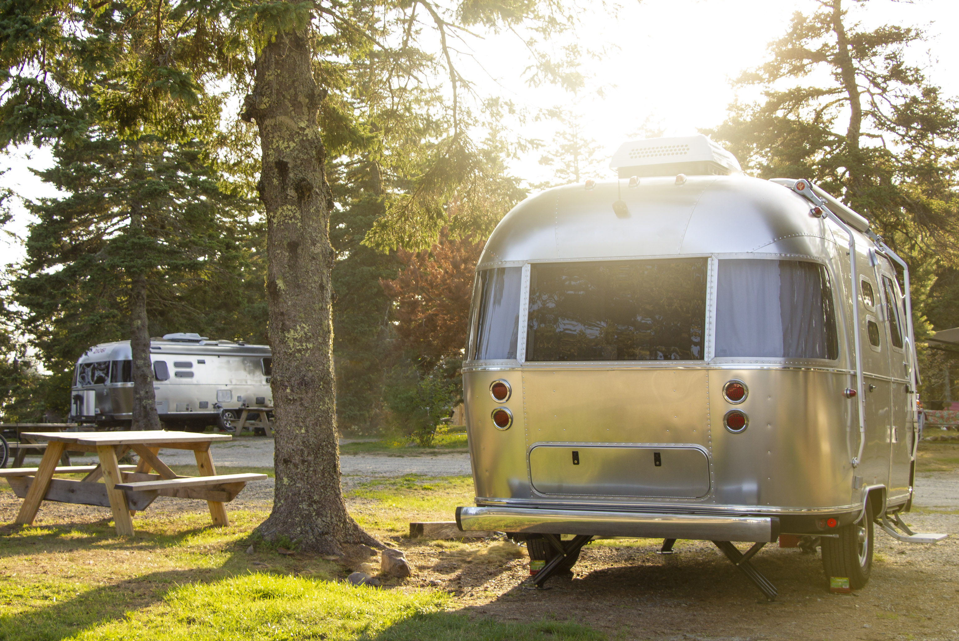 Vintage travel trailers at a campground