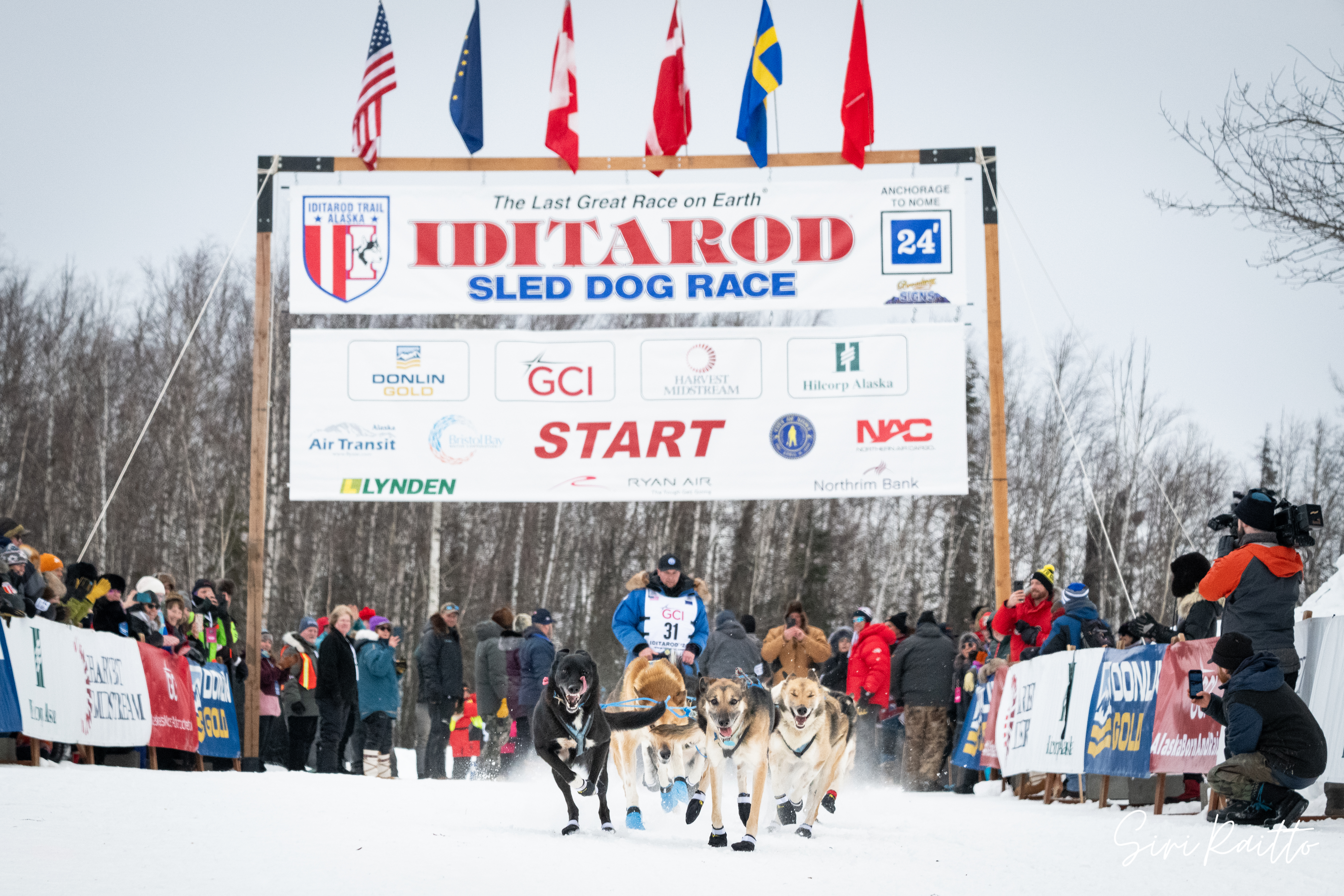 Iditarod