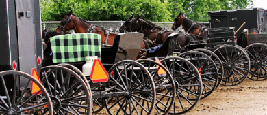 Amish Buggies.png